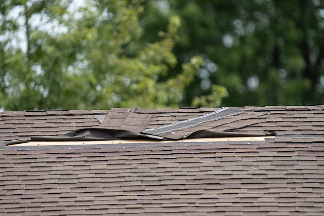 shingle roof damaged by high winds